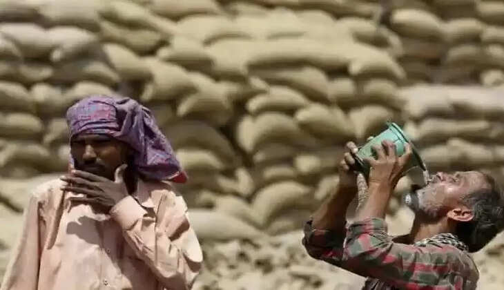 Farmer
