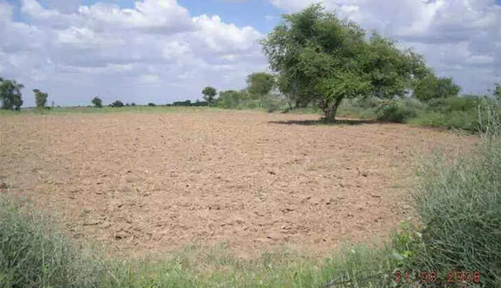 સીમતળ વાડા