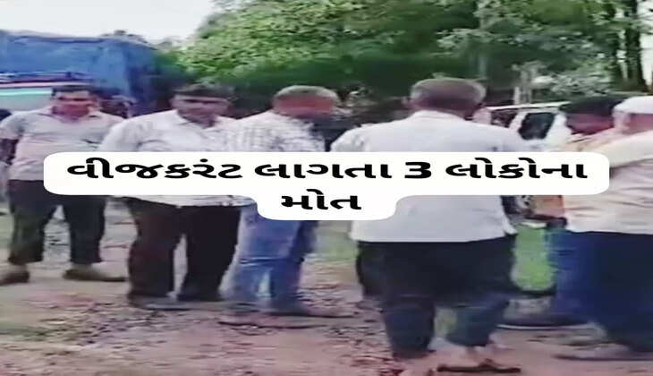 રિપોર્ટ@ખેડા: માતરના મહેલજમાં વીજકરંટ લાગતા 3 લોકોનાં મોત નીપજ્યા