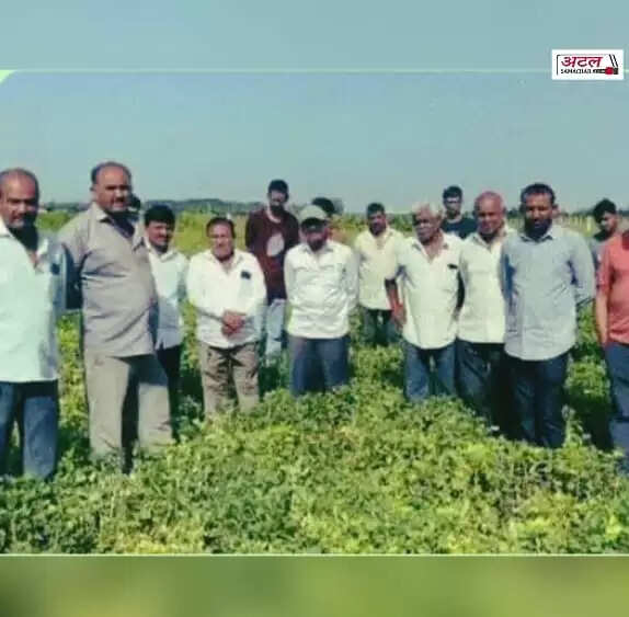 રિપોર્ટ@રાજકોટ: ટેકાના ભાવે મગફળીનું રજિસ્ટ્રેશન રદ થતાં ખેડૂતોમાં ભારે રોષ