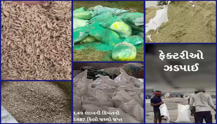 રિપોર્ટ@ઊંંઝા: નકલી જીરું અને વરિયાળી બનાવતી 4 ફેક્ટરી પર ફૂડ એન્ડ ડ્રગ્સ વિભાગે દરોડો પાડ્યો
