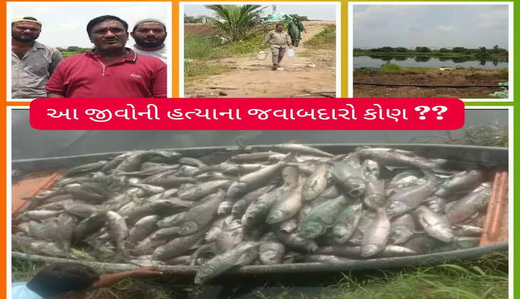 આફત