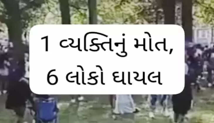 અપડેટ@દેશ: અમેરિકાના ન્યૂયોર્કના રોચેસ્ટર પાર્કમાં હુમલાખોરે ફાયરિંગ કરતા1 વ્યક્તિનું મોત, 6 લોકો ઘાયલ