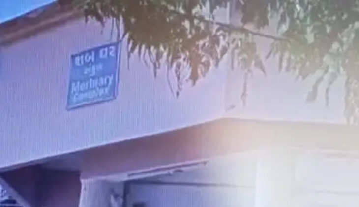 ઘટના@ભાવનગર: યુવકને રખડતા ઢોરની અડફેટે આવતા બાઈક સ્લીપ થયુ અને નીચે પટકાતા મોત 