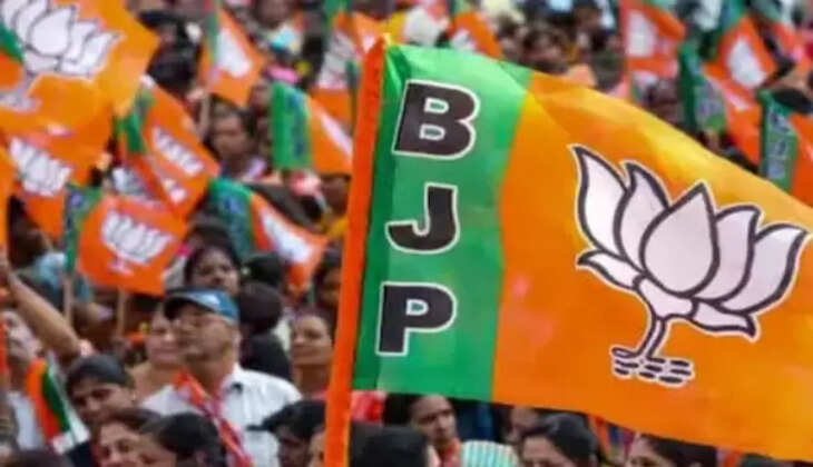 ભાજપ