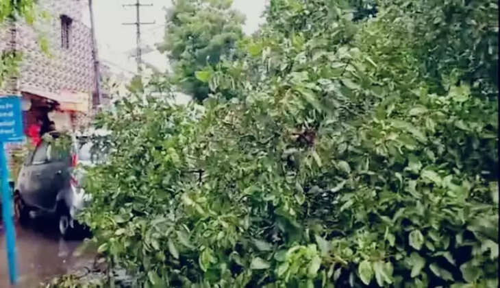 બનાવ@રાજકોટ: દ્વારકેશ પાર્કનાં ગેટ પાસે વૃક્ષ ધરાશાયી થતા 3 વ્યક્તિ માંડ બચ્યા