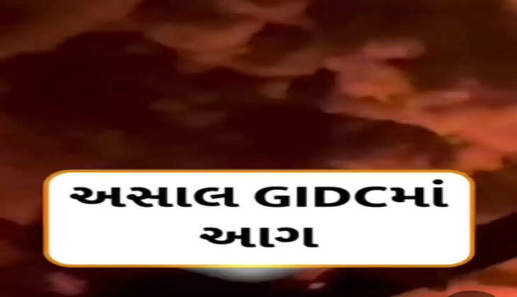 દુર્ઘટના@અરવલ્લી: અસાલ GIDC વિસ્તારમાં આવેલી કેમિકલ ફેક્ટરીમાં ભયાનક આગ લાગી