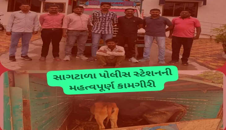 સાગટાળા પોલીસની કામગીરી 