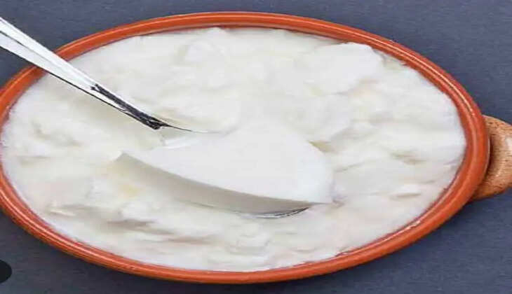 આરોગ્ય@શરીર: દહીં પૌષ્ટિક ગુણોથી ભરપૂર હોય છે, જાણો ખાવાના ફાયદા
