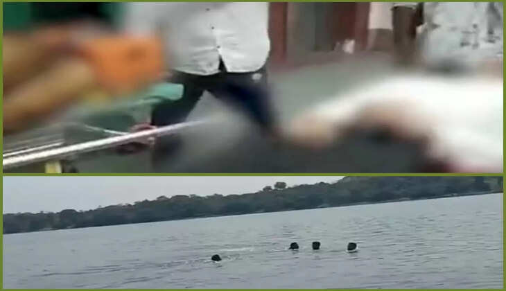 અટલ સમાચાર ડોટ કોમ, ડેસ્ક