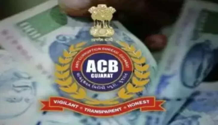 કાર્યવાહી