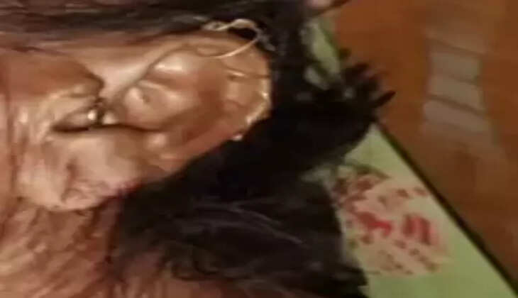 લૂટ