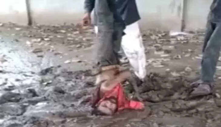 પાટણ