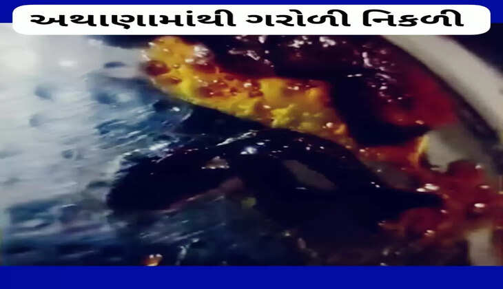 રિપોર્ટ@અમદાવાદ: જૈન ગૃહ ઉદ્યોગમાંથી ખરીદેલા અથાણાંમાંથી ગરોળી નિકળી