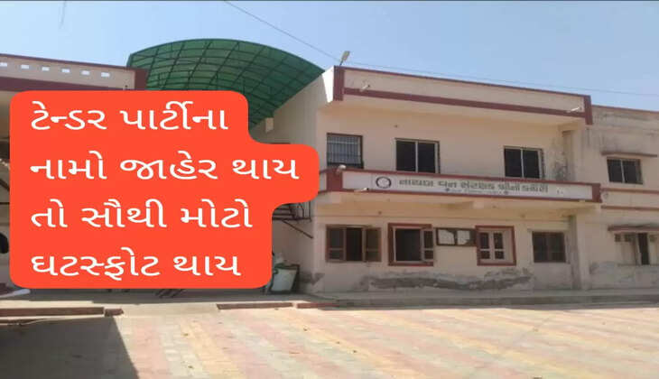 રીપોર્ટ@પાટણ: વનવિભાગના ટેન્ડરમાં સેટિંગ્સકાંડ ? લેબરોના સગાંને બનાવ્યા કોન્ટ્રાક્ટર