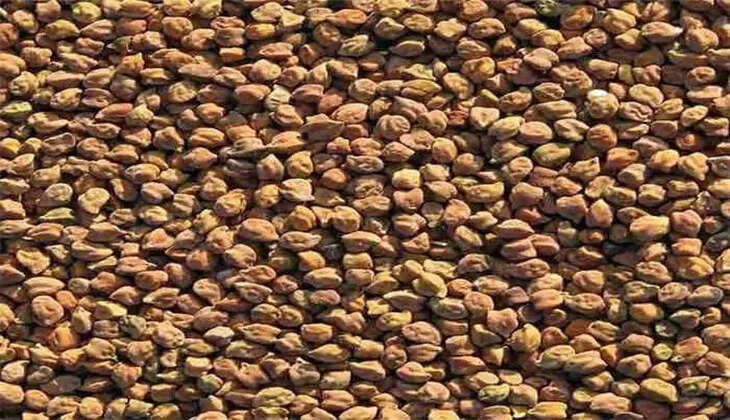 ચણા