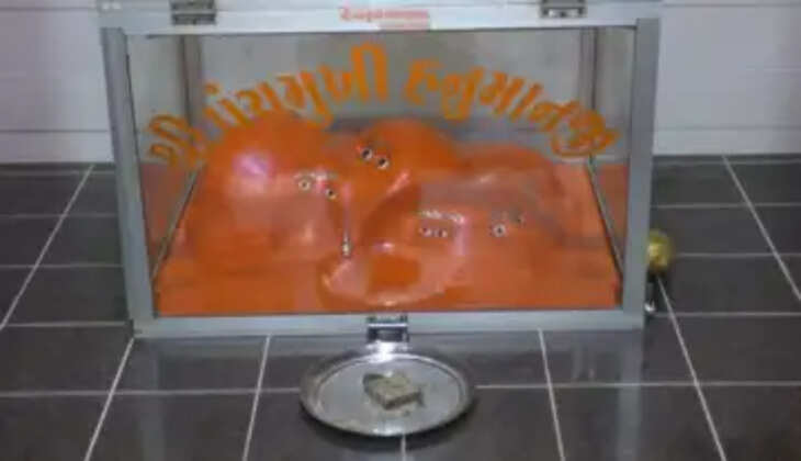 ધાર્મિક@રાજકોટ: પંચમુખી હનુમાન મંદિરમાં તમામ ભક્તોની માંનોકામાંના પૂરી થાય છે, જાણો વધુ