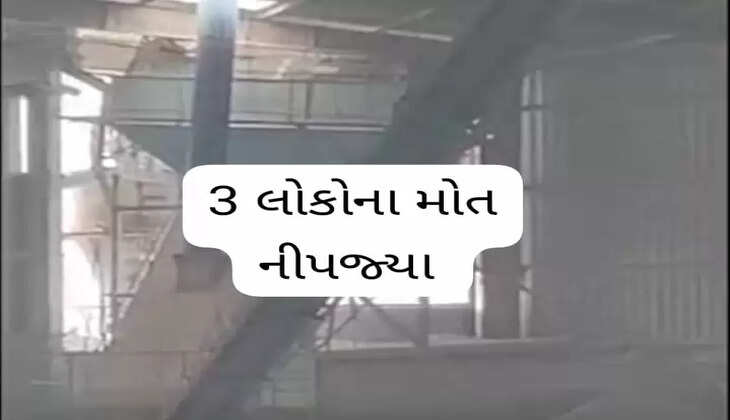 રિપોર્ટ@ભુજ: ચાઈનાક્લેના મિનરલ્સ પ્લાન્ટમાં પિતા-પુત્ર સહિત 3લોકોના મોત નીપજ્યા