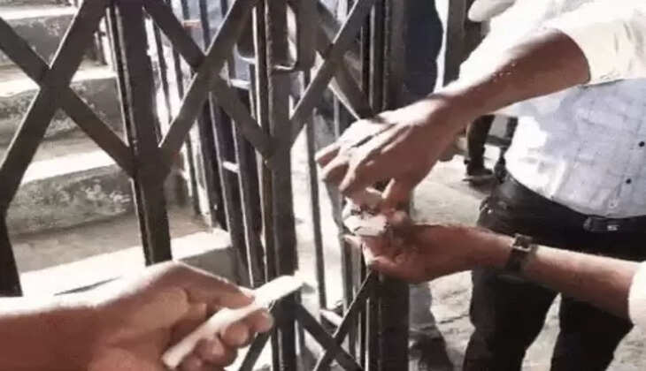 સીલ
