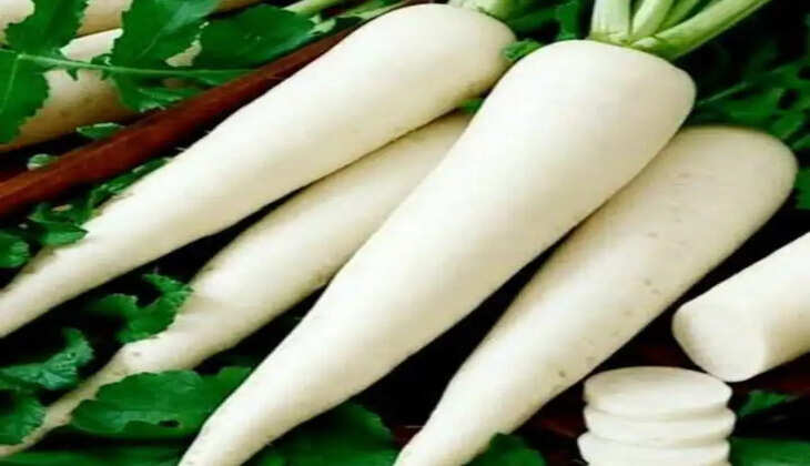 જાણો@ગુજરાત: ઠંડીની સિઝનમાં બજારમાં મૂળા જોવા મળતા હોય છે,જાણી લો  ખાવાનો સાચો સમય કયો ?