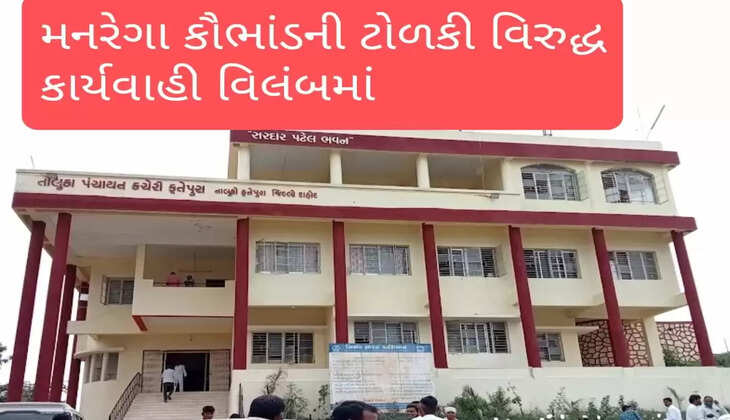 ચોંક્યા@ફતેપુરા: મનરેગા કૌભાંડનો રિપોર્ટ જોઇ મંત્રીએ કહ્યું, હવે દાહોદ ડીડીઓ તપાસ કરે, આરોપીઓ ક્યાં સુધી બચશે?