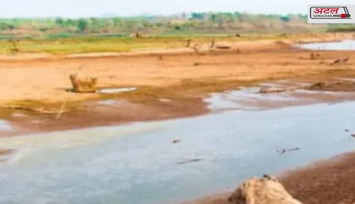 જલસ્ટર