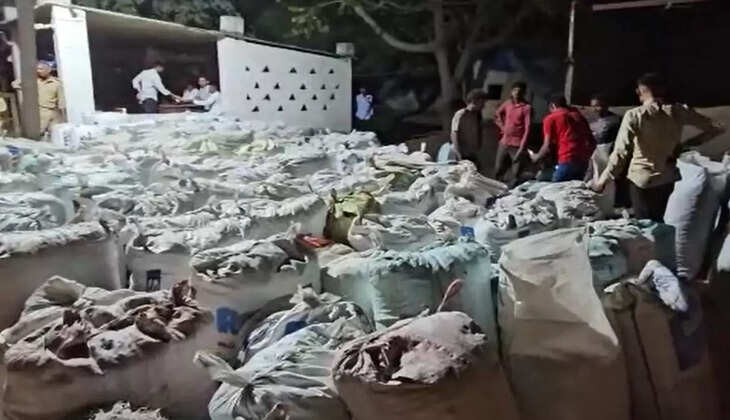 Dhanera 