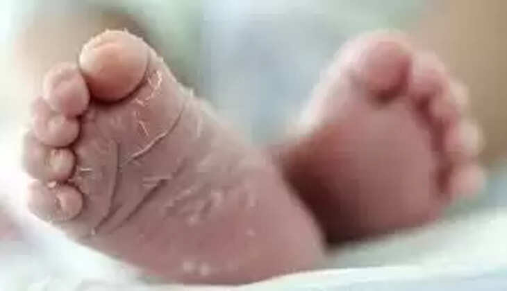 નવજાત શિશુ