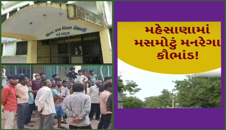 કૌભાંડ@ગુજરાત: મનરેગા હેઠળ કરવામાં આવેલા અલગ અલગ કામોમાં લાખો રૂપિયાનું કૌભાંડ
