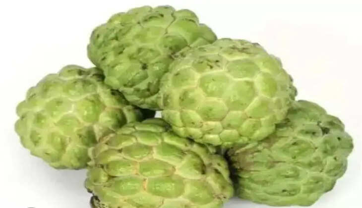 આરોગ્ય@શરીર: આ ફળ શરીરને અતુટ શક્તિ આપશે, દવા કરતાં પણ છે વધુ શક્તિશાળી