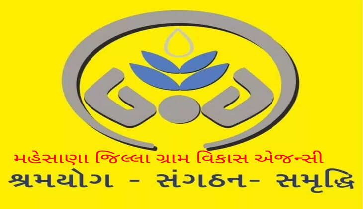 મહેસાણા જિલ્લા ગ્રામ વિકાસ એજન્સી ફાઇલ ફોટો