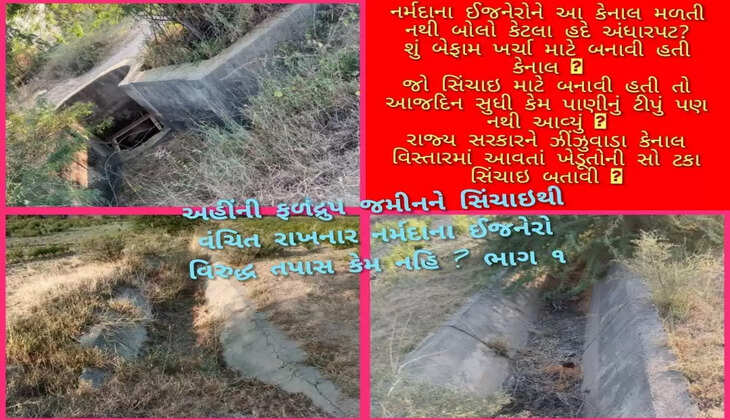 નર્મદા