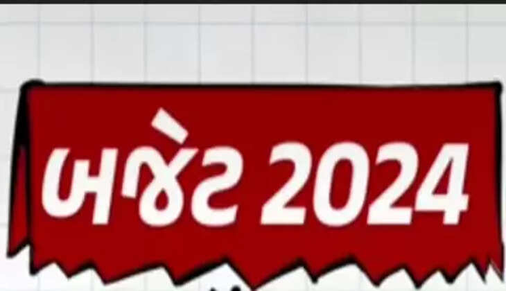  બજેટ@દેશ: બજેટમાં સરકારે 7 વસ્તુઓ પરની કસ્ટમ ડ્યૂટીમાં મોટાપાયે ઘટાડો કર્યો 