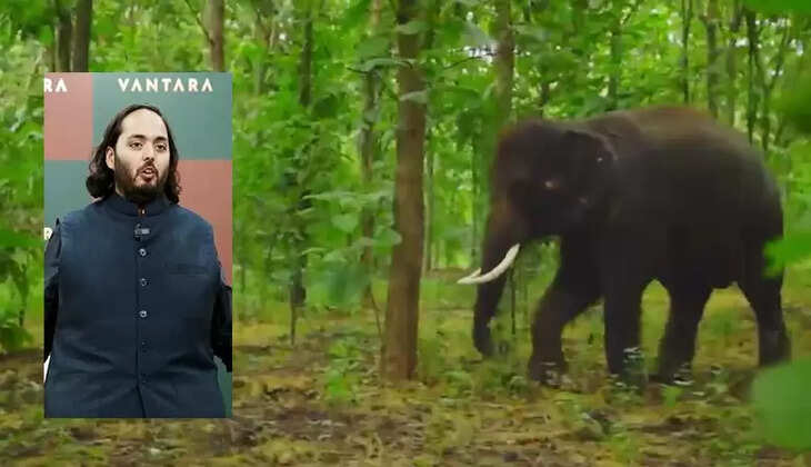 Vantara