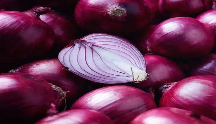 વેપાર@દેશ: ડુંગળીના ભાવે ઉત્તરથી લઈને દક્ષિણ ભારતમાં હોબાળો મચાવ્યો, જાણો વિગતે