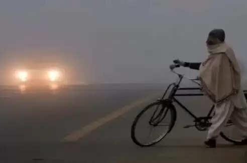 હવામાન