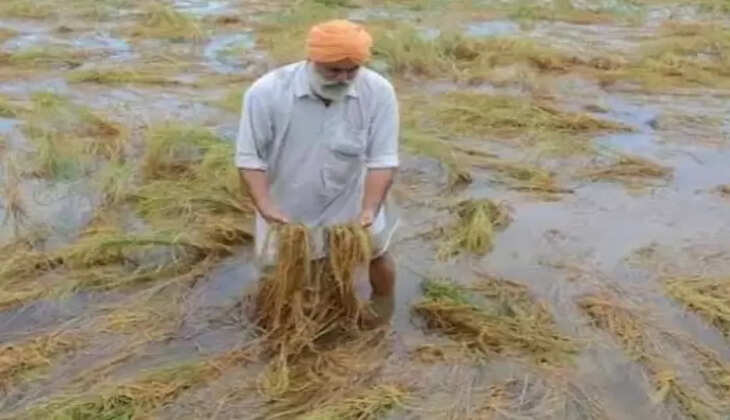નુકશાન