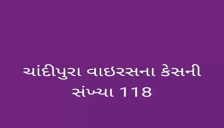 રિપોર્ટ@ગુજરાત: ચાંદીપુરા વાઇરસના કેસની સંખ્યા વધીને 118, મૃત્યુઆંક 41 