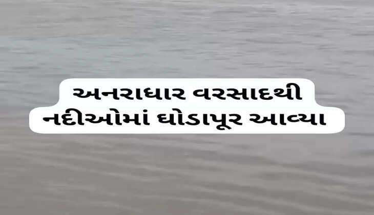 રિપોર્ટ@ગુજરાત: ગીર સોમનાથમાં અનરાધાર વરસાદથી નદીઓમાં ઘોડાપૂર આવ્યાં