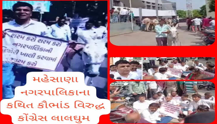 Meh nagarpalika Congress 