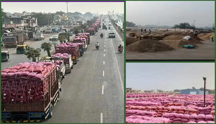 વેપાર@રાજકોટ: માર્કેટિંગ યાર્ડમાં ડુંગળી-મગફળીની મબલખ આવક થઇ