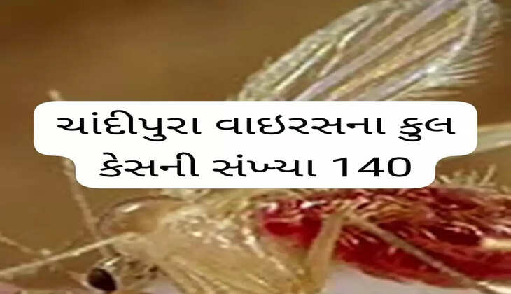 રિપોર્ટ@ગુજરાત: રાજ્યમાં ચાંદીપુરા વાઇરસના કુલ કેસની સંખ્યા 140, મૃત્યુઆંક 58 થયો
