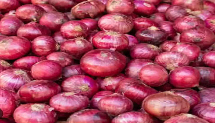 સરકારે ડુંગળીના ભાવને તાત્કાલિક પોતાના હાથમાં લઈ લીધા છે.