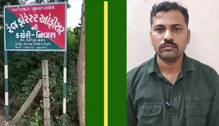 કાર્યવાહી@ભરૂચ: રૂપિયા 25 લાખની લાંચના મામલામાં 5 લાખનો હપ્તો સ્વીકારતા નેત્રંગના RFO છટકામાં ઝડપાઇ ગયા