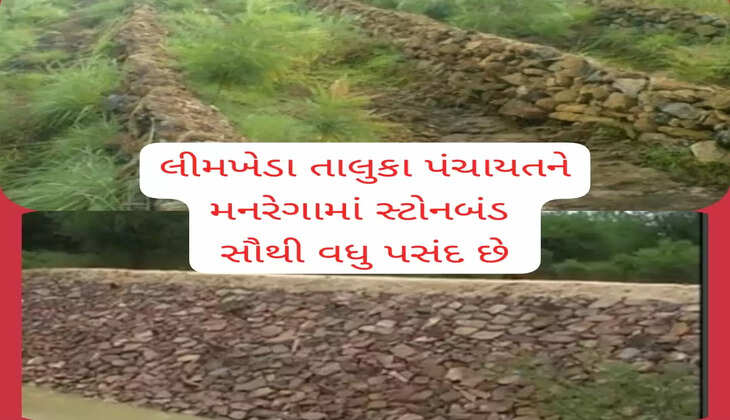 ઘટસ્ફોટ@લીમખેડા: તાલુકામાં એક જ ચાલે- સ્ટોનબંડ ચાલે, લાભાર્થીઓની પસંદ કે એજન્સીની?