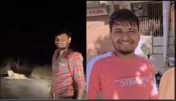 રિપોર્ટ@ગુજરાત: 2 યુવાનોને  સિંહની આગળ ઊભા રહીને રિલ્સ બનાવવી મોંઘી પડી 