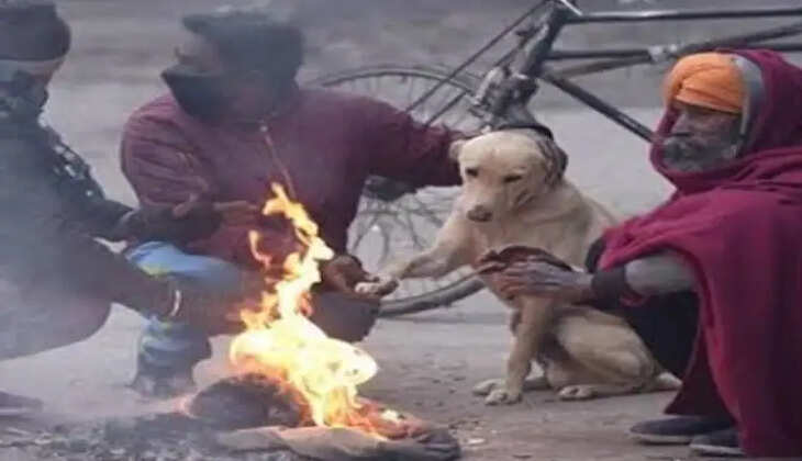 આગાહી
