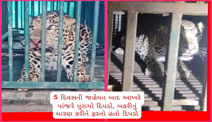 ધરમપુર્