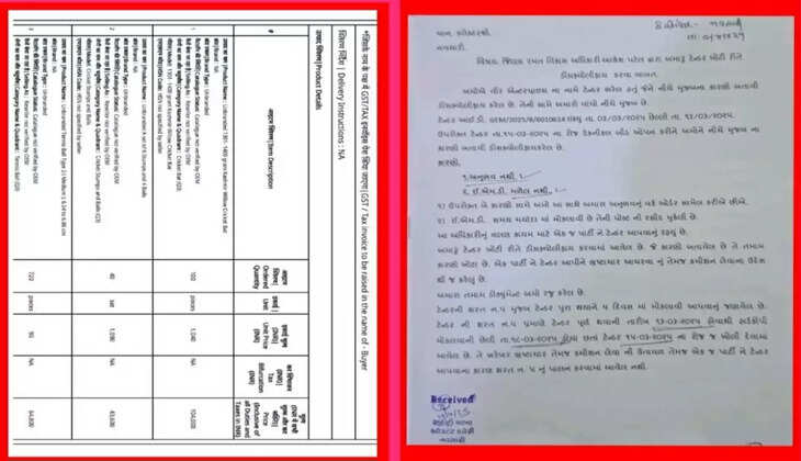 Navsari dsdo