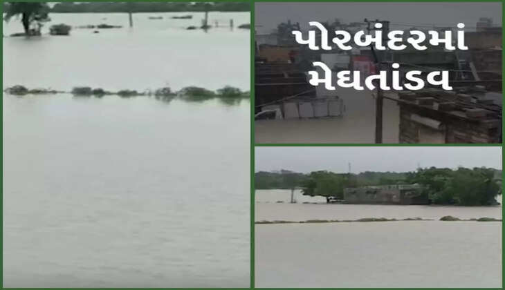 વરસાદ@ગુજરાત: પોરબંદરમાં 14 ઈંચ વરસાદથી પાણી પાણી, પશુઓ તણાયા, વાહનો ડૂબ્યા,